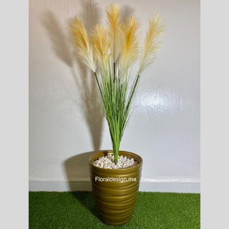 Pampas Doré Pot Doré           Dimensions : 1,1m complet