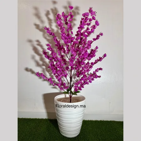 Amandier Mauve        Dimensions : 1,20m complet