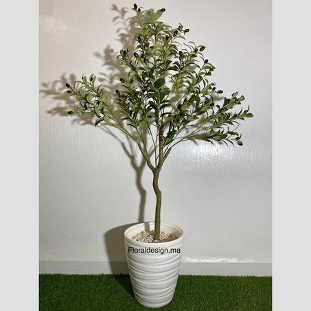 OLIVIER           Dimensions : 1,50m complet