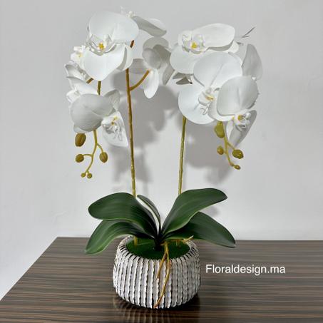 Orchidées Artificielles  avec Pot Céramique Blanc