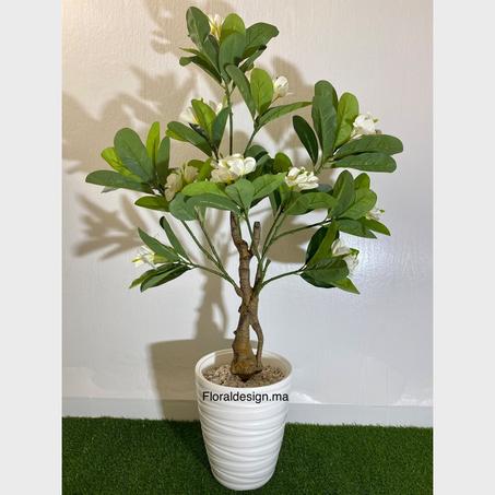 FRANGIPANIER     Dimensions : 1,40m complet