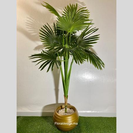 Palmier Livistona Pot Doré       Dimensions 1,8m complet