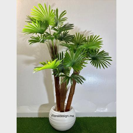Palmier Livistona Ref-3T        Dimensions : 1,70m complet