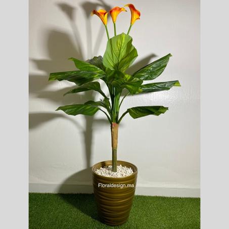 Fleur de Lune Orange Pot Doré          Dimensions : 1,3m complet