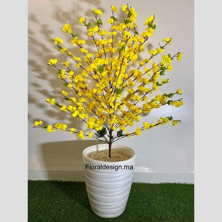 Amandier Jaune        Dimensions : 1,20m complet