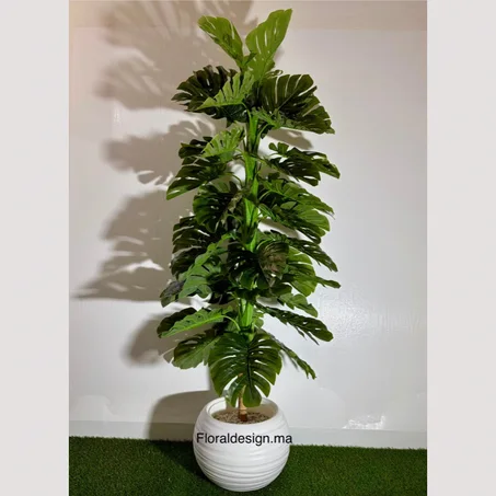 Monstera Ref-GT           Dimensions : 2m complet