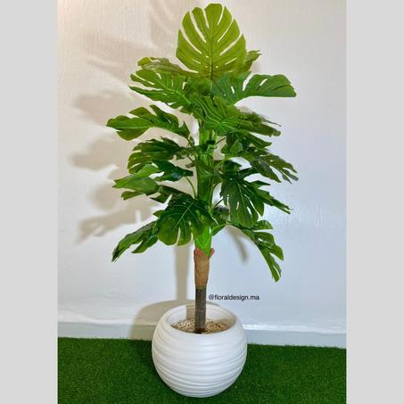 Monstera           Dimensions : 1,50m complet