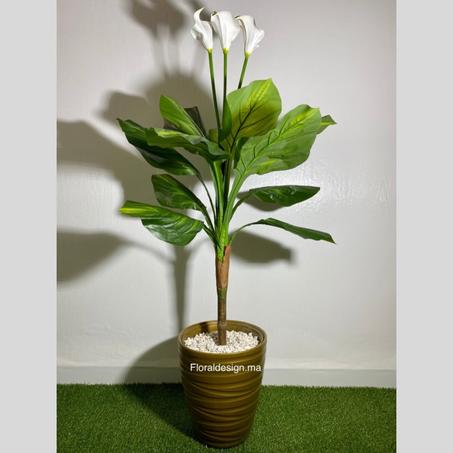 Fleur de Lune Blanche Pot Doré           Dimensions : 1,3m complet