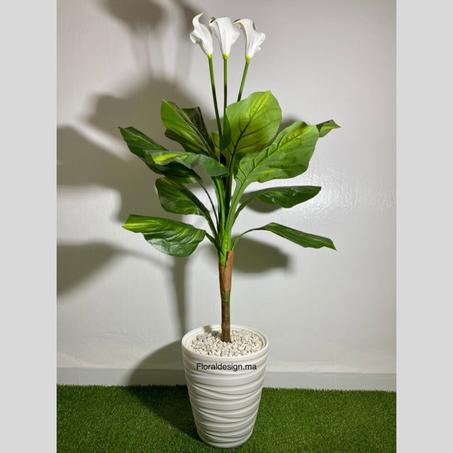 Fleur de Lune Blanche           Dimensions : 1,3m complet