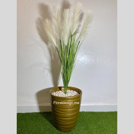 Pampas Blanc Pot Doré          Dimensions : 1,1m complet