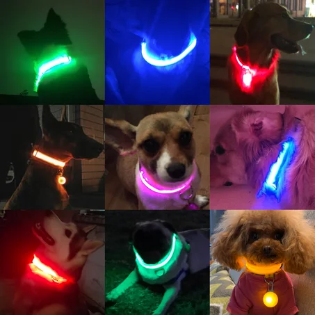 USB Rechargeable LED Light Dog Collar
