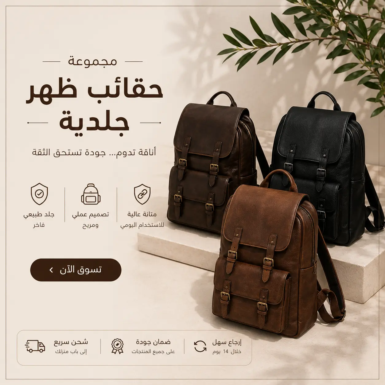حقائب