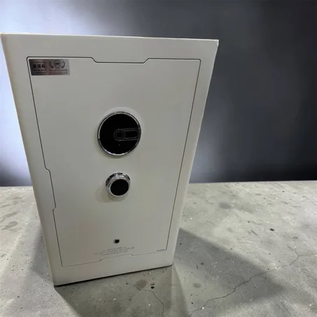 الخزن المحصنة COFFRE FORTE