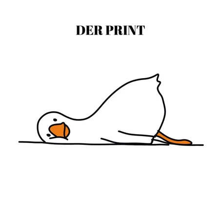 Goose Tshirt