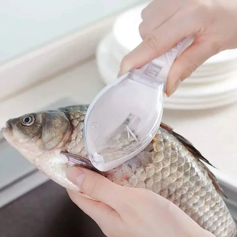 ECAILLES DE POISSON