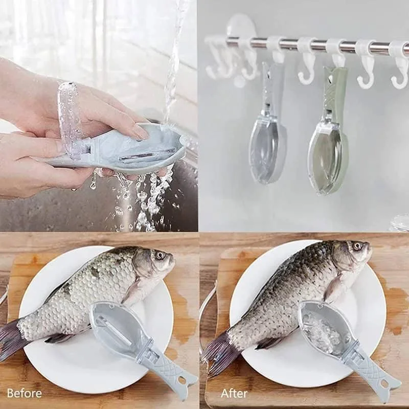 ECAILLES DE POISSON