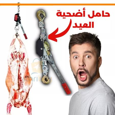 رافعة أضحية العيد treuile Manuel 2tonnes