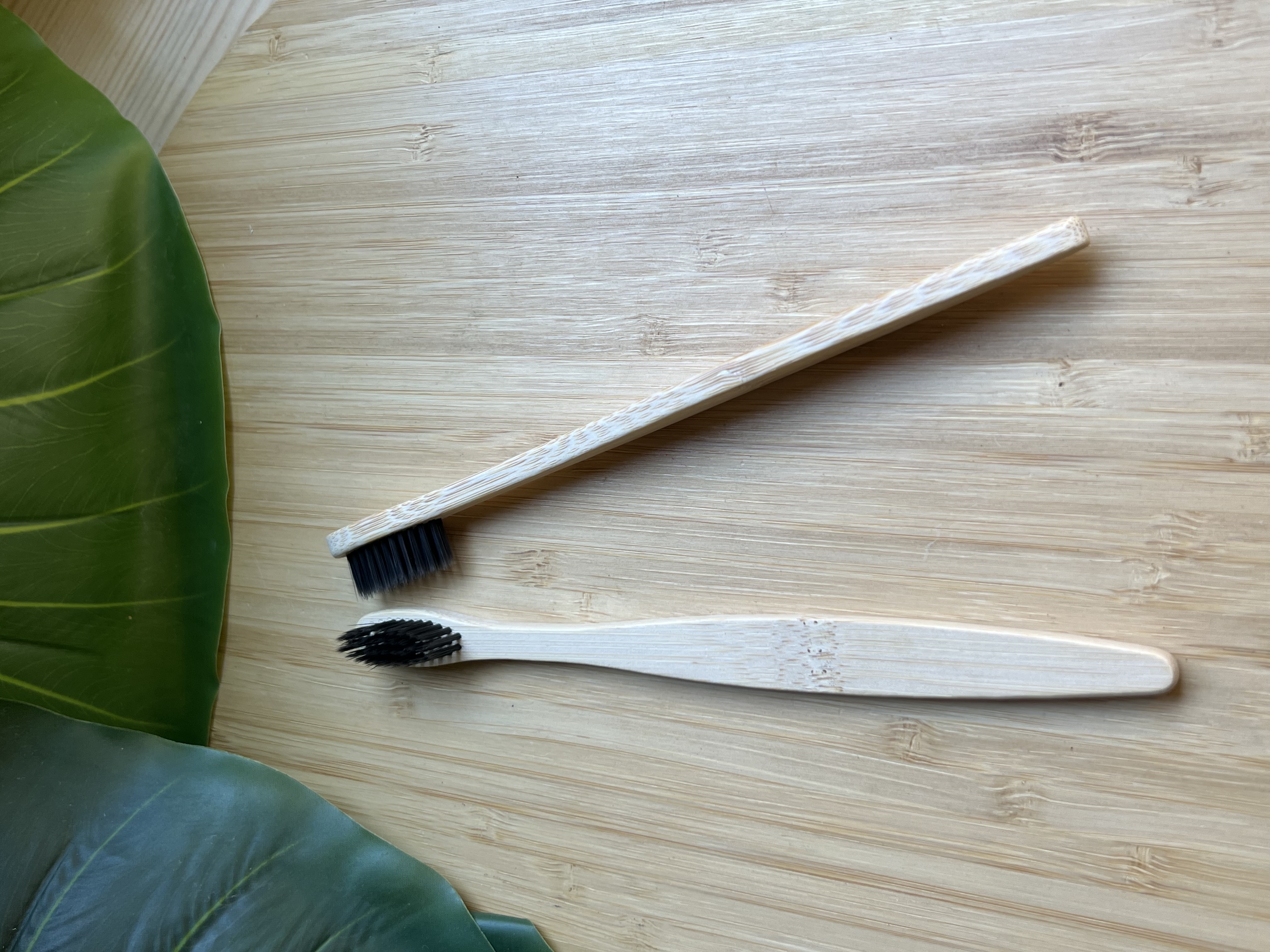 brosse à dents en bambou