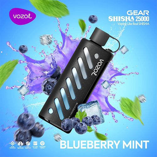 VOZOL 25K SHISHA