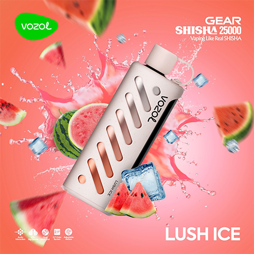 VOZOL 25K SHISHA