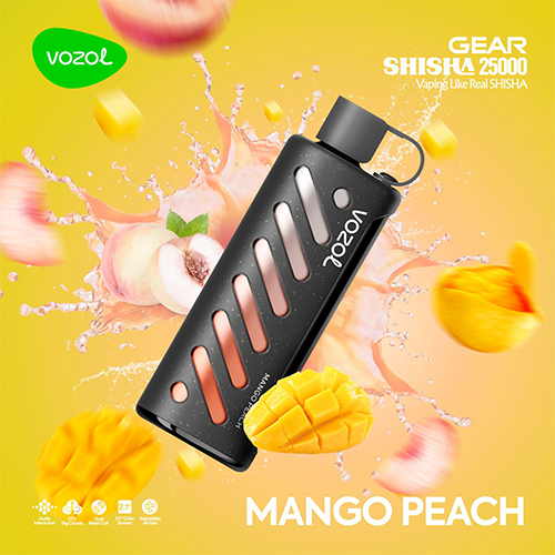 VOZOL 25K SHISHA