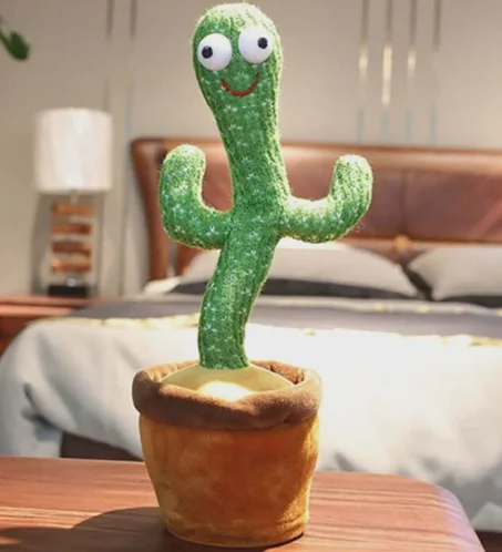 الصبار الراقص والمغني