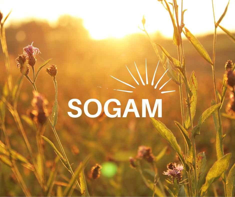 sogam1