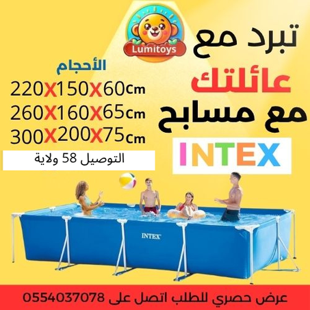 intex picine