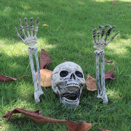 Buried Alive Skeleton Skull Halloween Decoration
