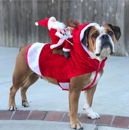Pet Santa Christmas Dog Clothing