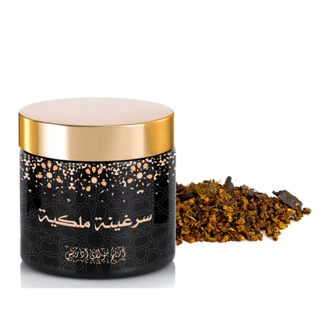 سرغينة فاسية مخزنية