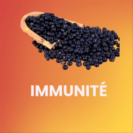 Santé & Immunité 🛡️