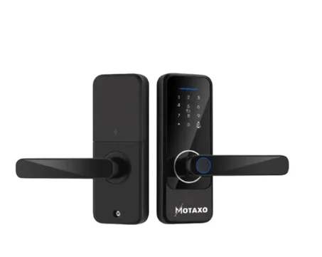 Serrure intelligente X5 Mini