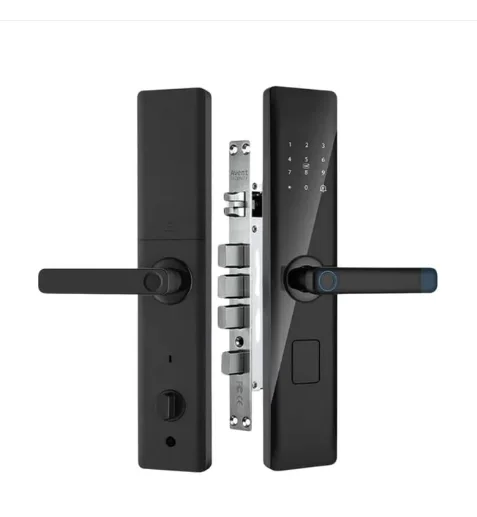 Serrure Intelligente X5 Plus
