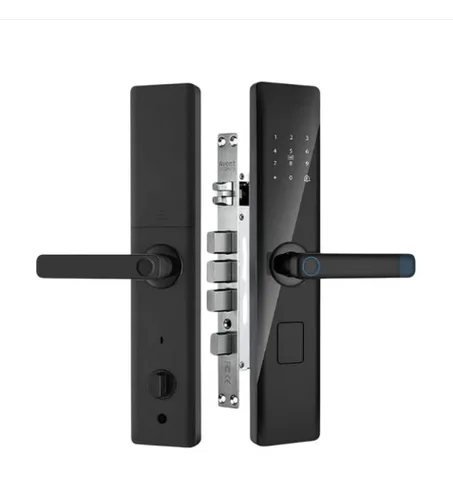 Serrure Intelligente X5 Plus