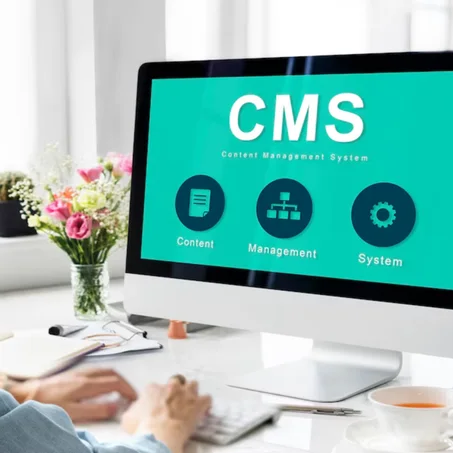 Add-on CMS
