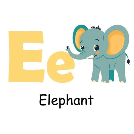 Flashcards d'apprentissage