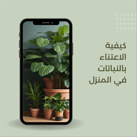 الاعتناء بالنباتات في المنزل