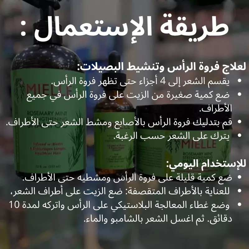 تشكيلة إكليل الجبل للعناية بالشعر ( زيت + شامبو + ماسك )