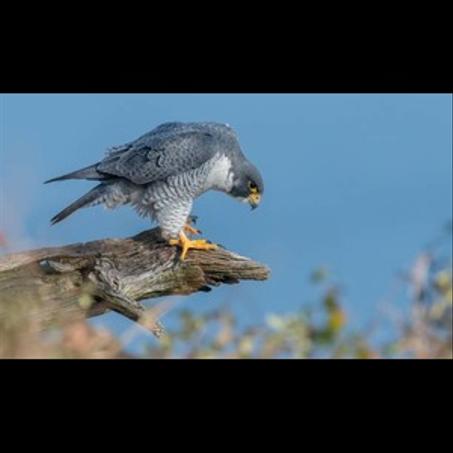 المنتجات الأكتر مبيعا