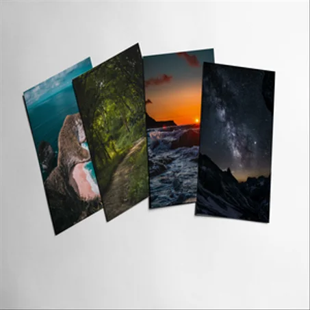 لوحات الطبيعة