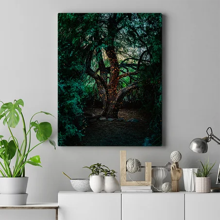 الشجرة المضيئة