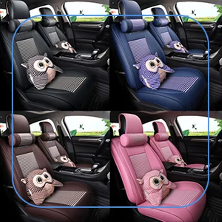 اكسسوار السيارة