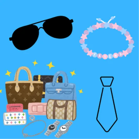 الاكسسوارات