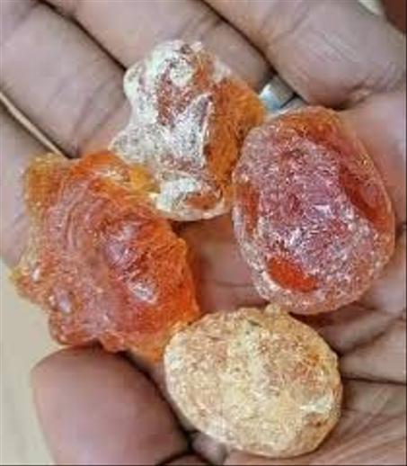 علك الصحراء