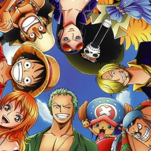 one piece-hoodies