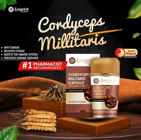 CORDYCEPS MILITARIS