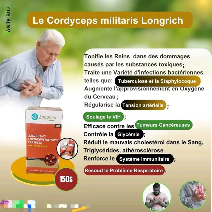 CORDYCEPS MILITARIS CAPSULES