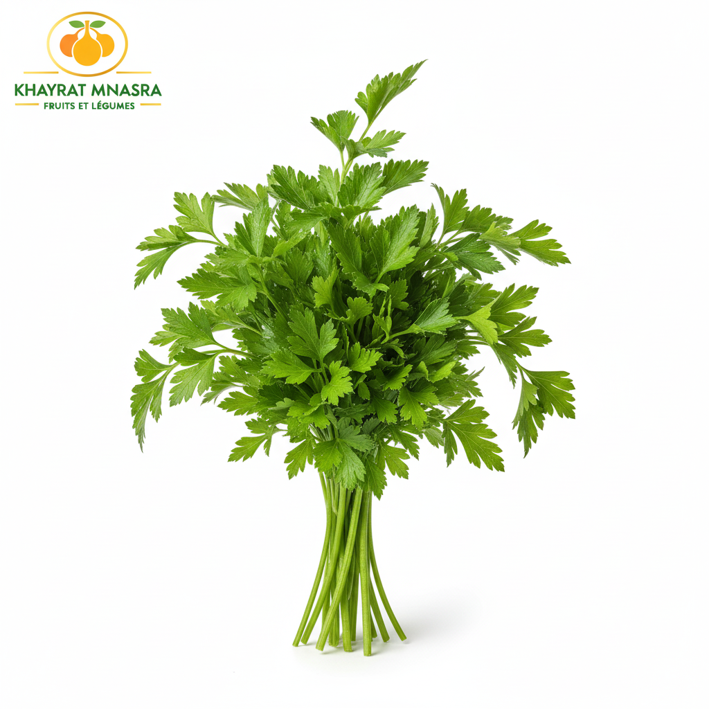 PERSIL – معدنوس – (U)