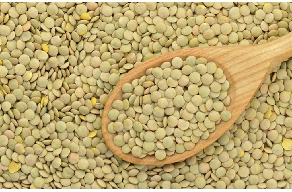 lentilles- العدس 500غ